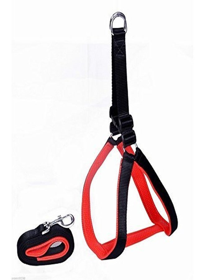 Pups&Pets Pet Nylon Export Quality Soft Padded Body Set-Leash & Harness (Medium, Red/Black)